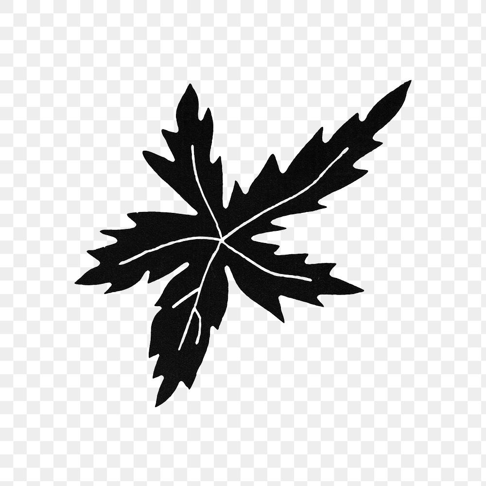 PNG Black leaf, vintage botanical illustration, transparent background.  Remixed by rawpixel. 