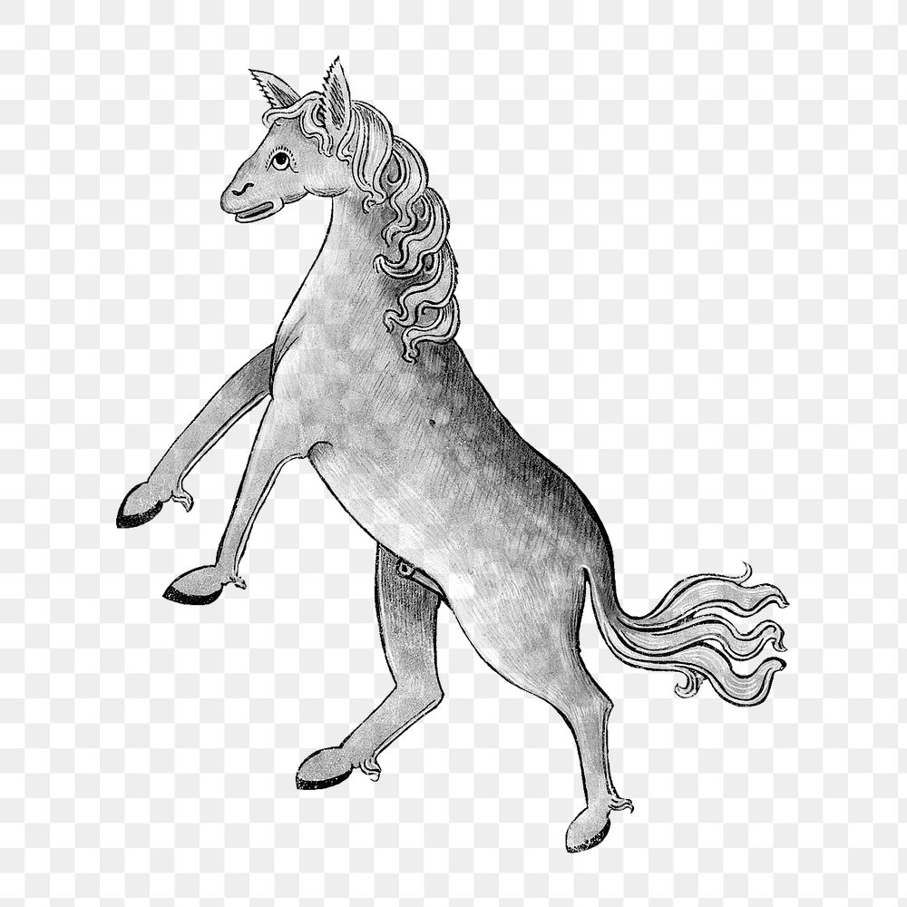 PNG Horse, vintage mythical creature illustration, transparent background.  Remixed by rawpixel. 