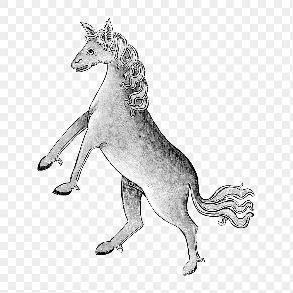 PNG Horse, vintage mythical creature illustration, transparent background.  Remixed by rawpixel. 
