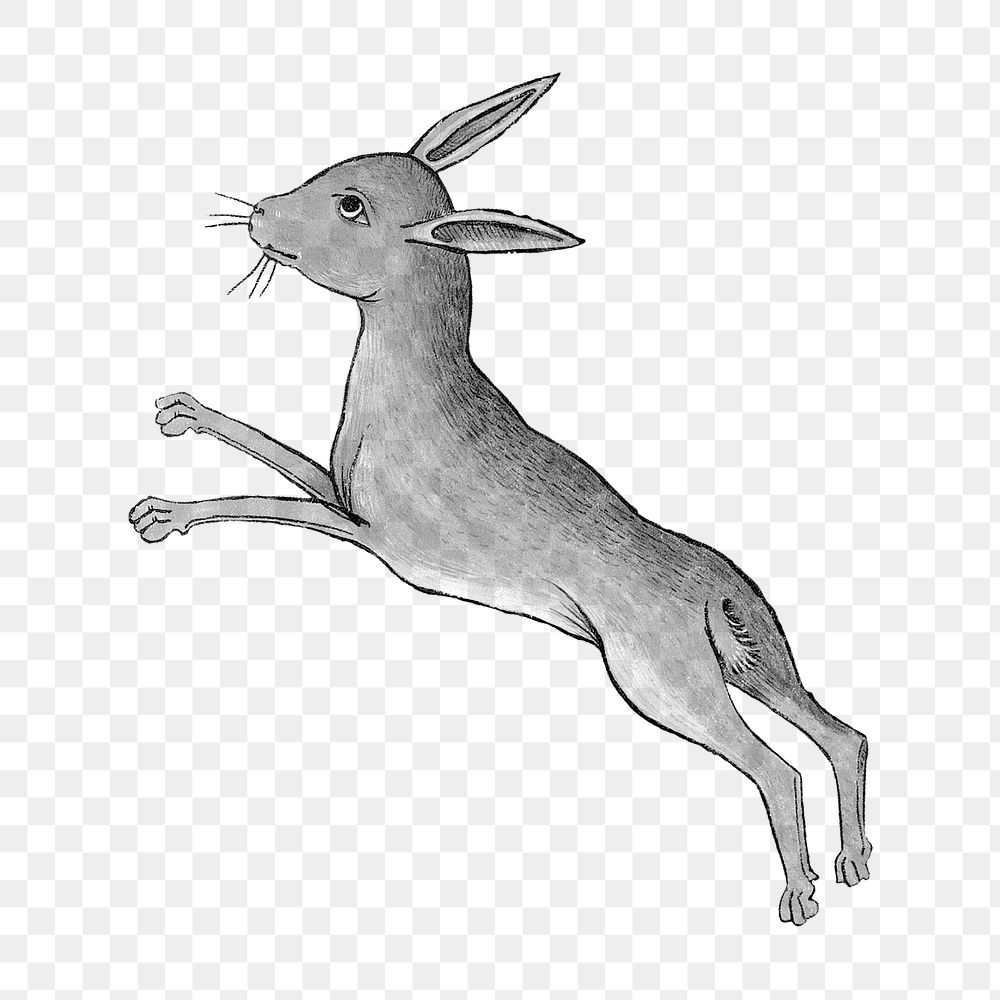 PNG Rabbit, vintage mythical creature illustration, transparent background.  Remixed by rawpixel. 