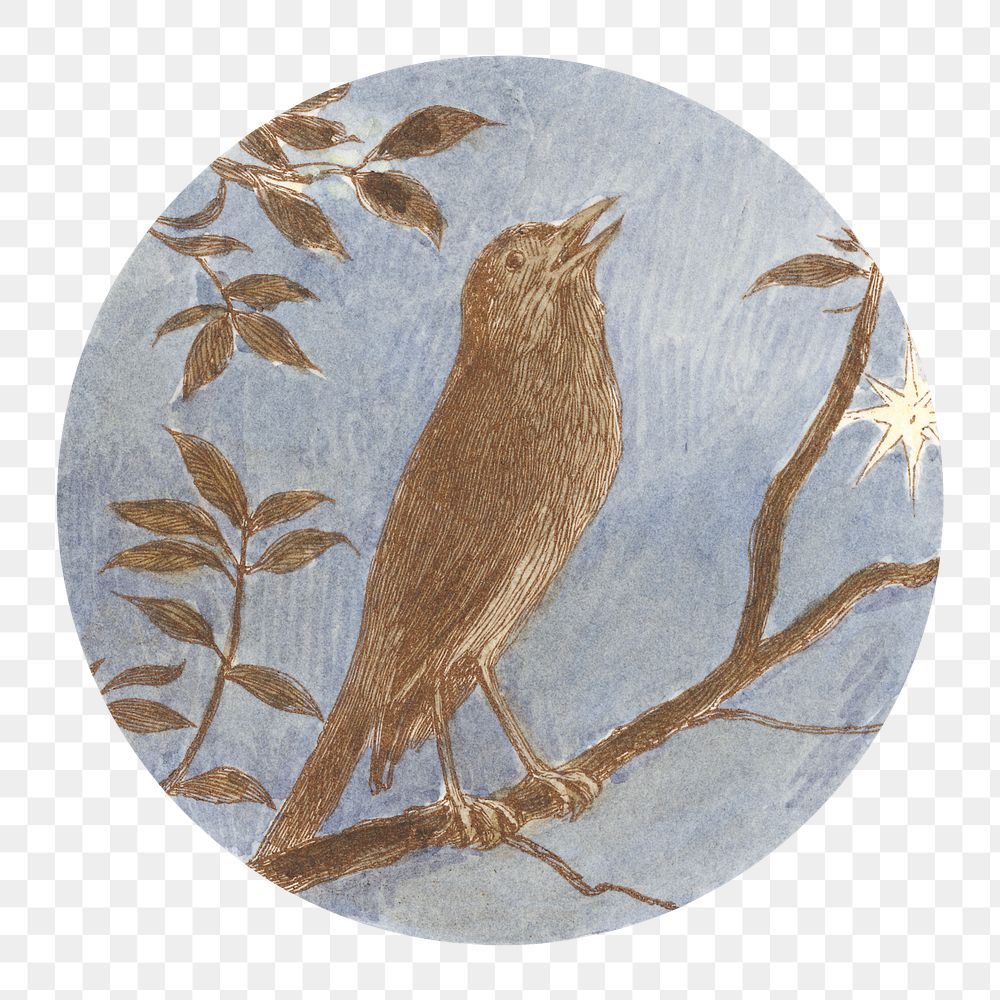 PNG The Nightingale, bird illustration by Alfred W. Cooper, transparent background.  Remixed by rawpixel. 