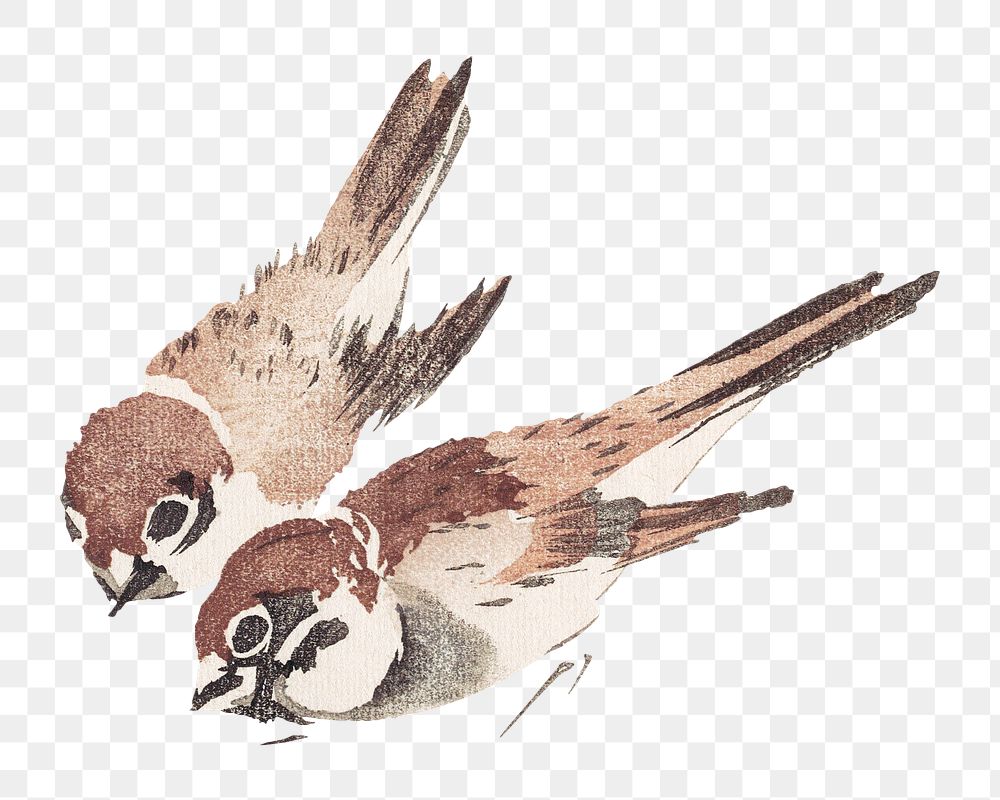 PNG Sparrow birds, Japanese traditional illustration by Teisai Hokuba, transparent background. Remixed by rawpixel.