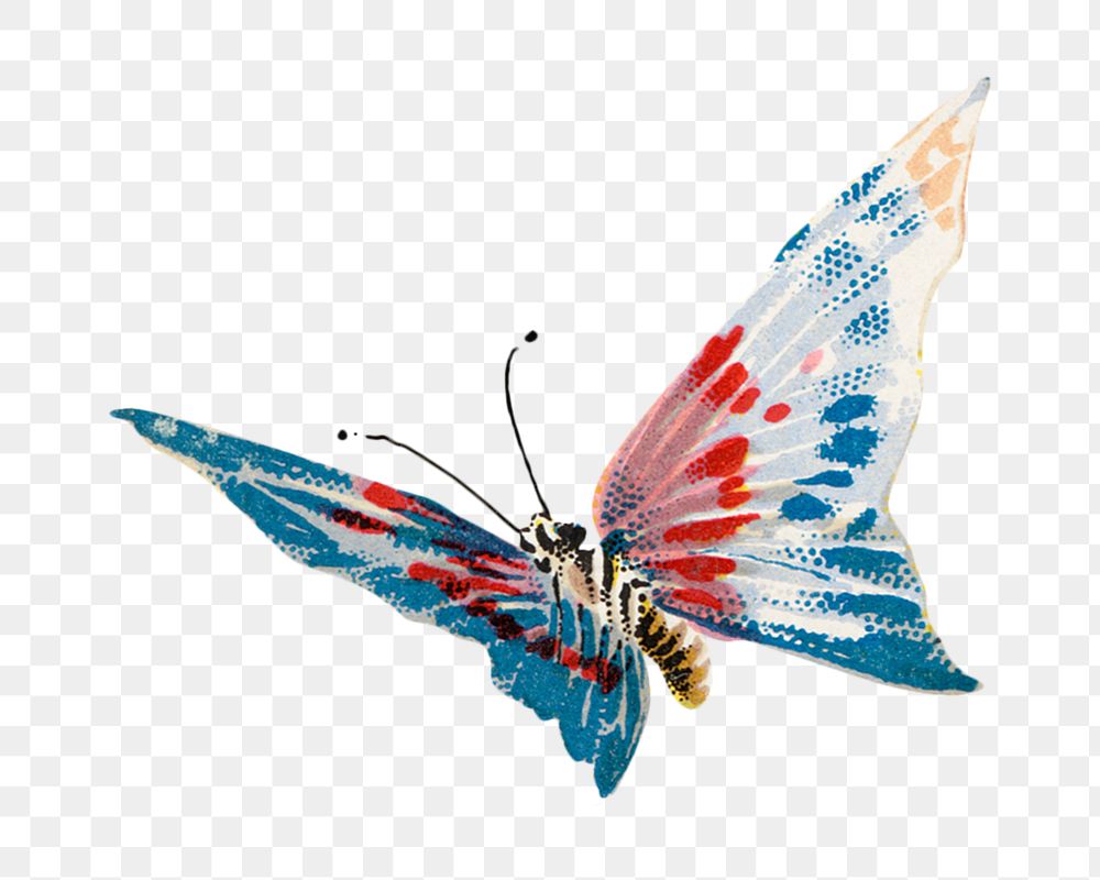 Colorful butterfly png animal, transparent background. Remixed by rawpixel.