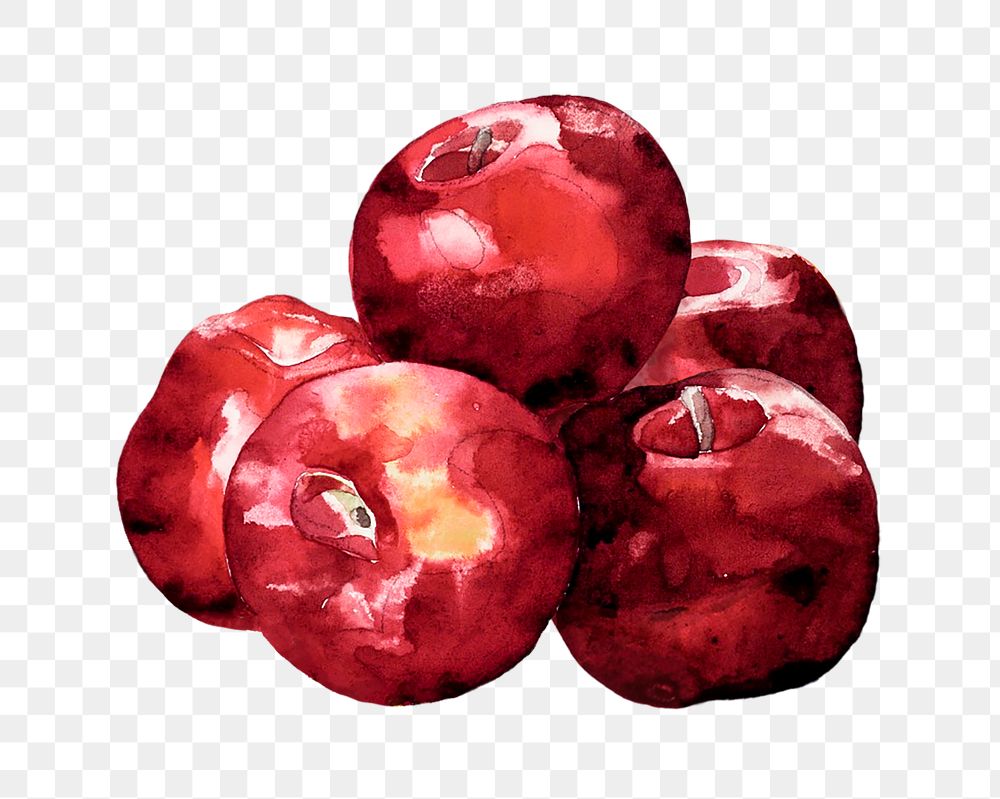 Red apples png watercolor collage element, transparent background. Remixed by rawpixel.
