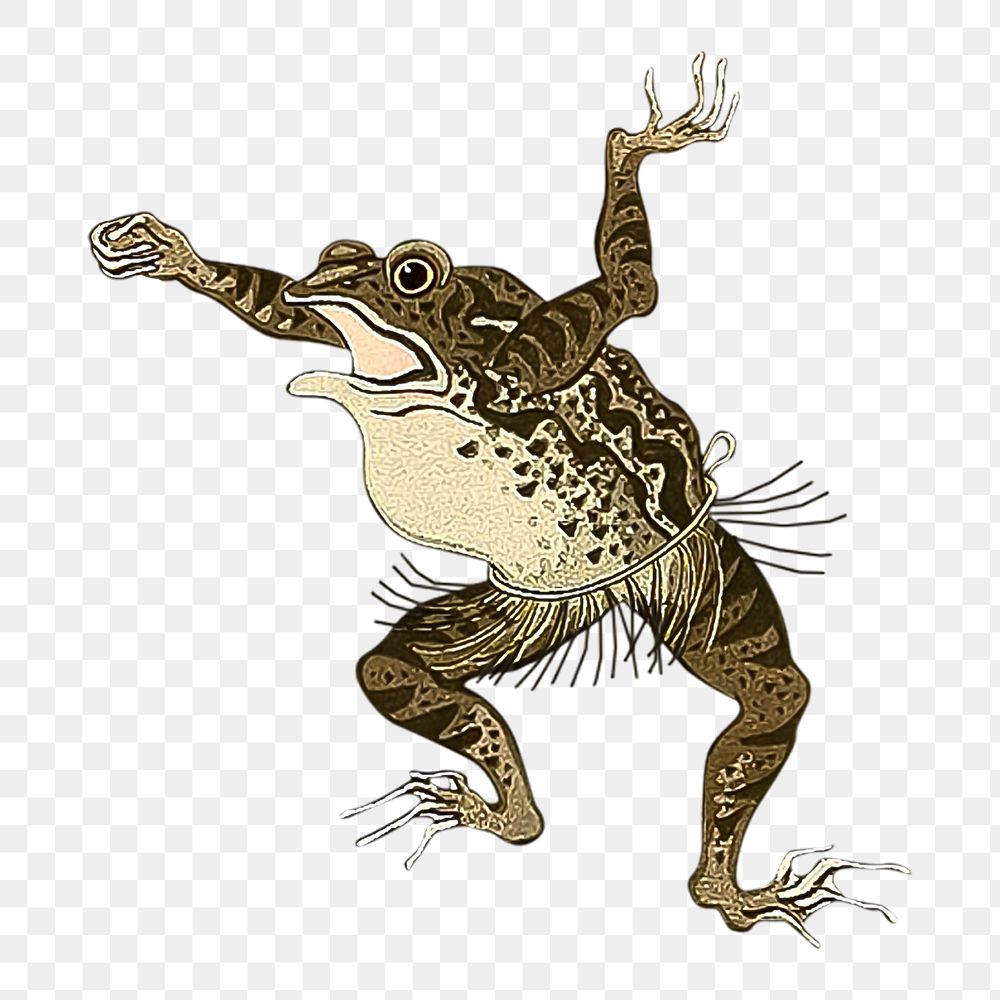 Frog png woodblock print, transparent background. Remixed by rawpixel. 