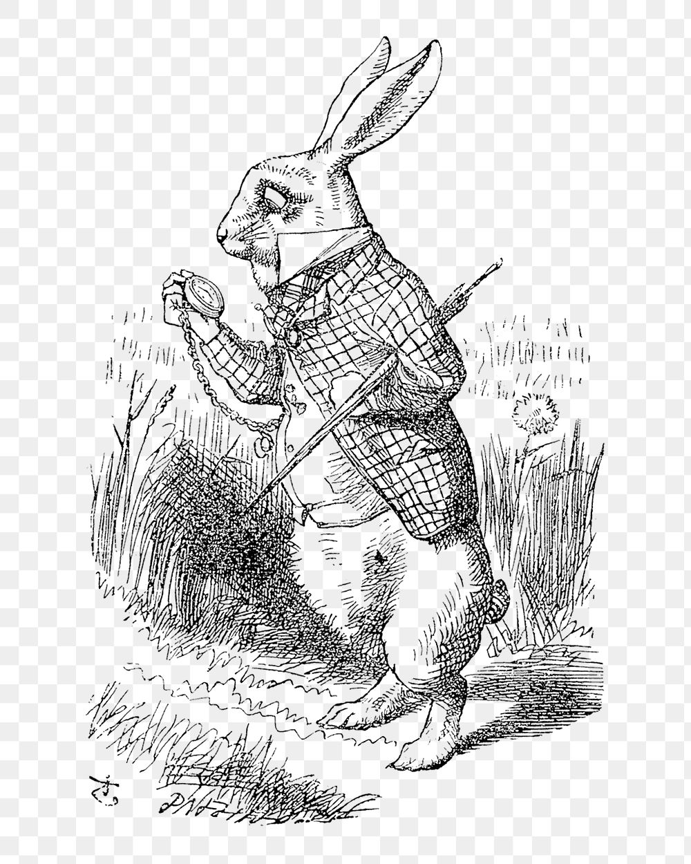Png Illustration of the first page of Alice's Adventures in Wonderland (1865) by John Tenniel collage element, transparent…