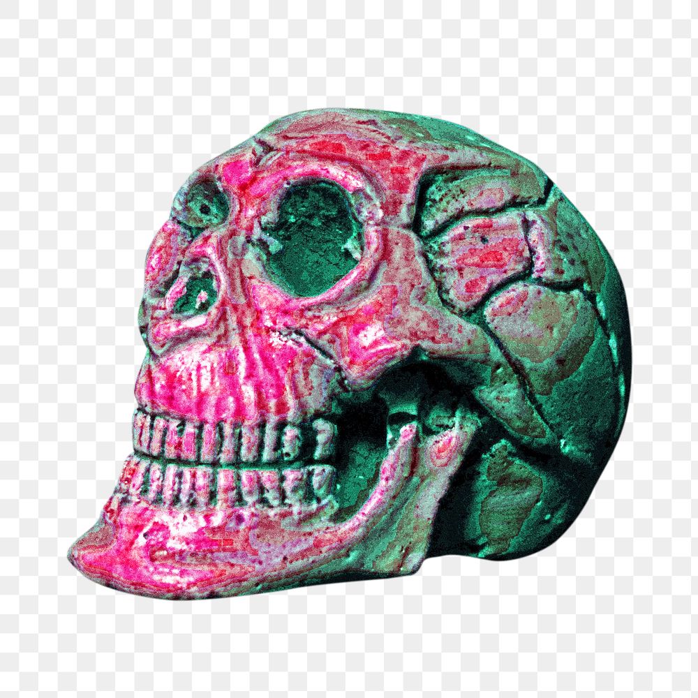 Human skull Halloween png, transparent background