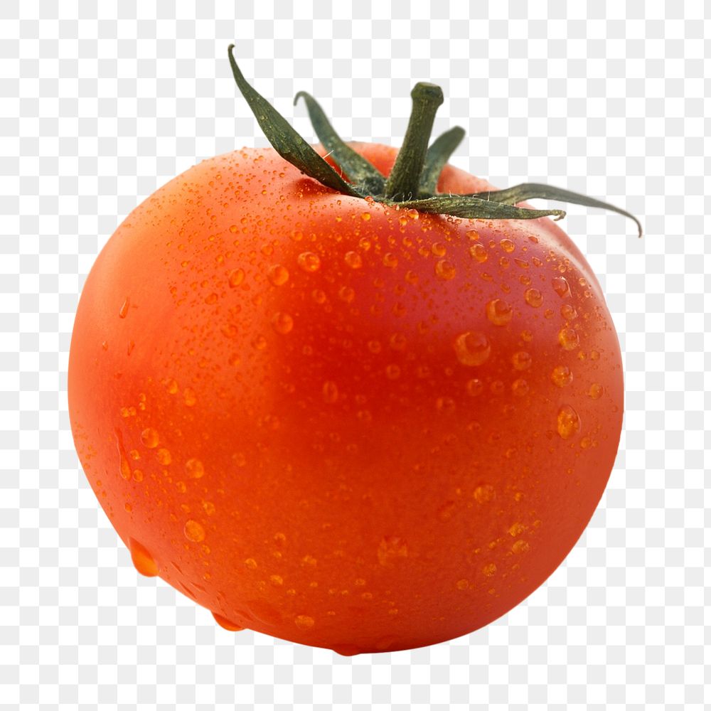 Fresh tomato vegetable png, transparent background