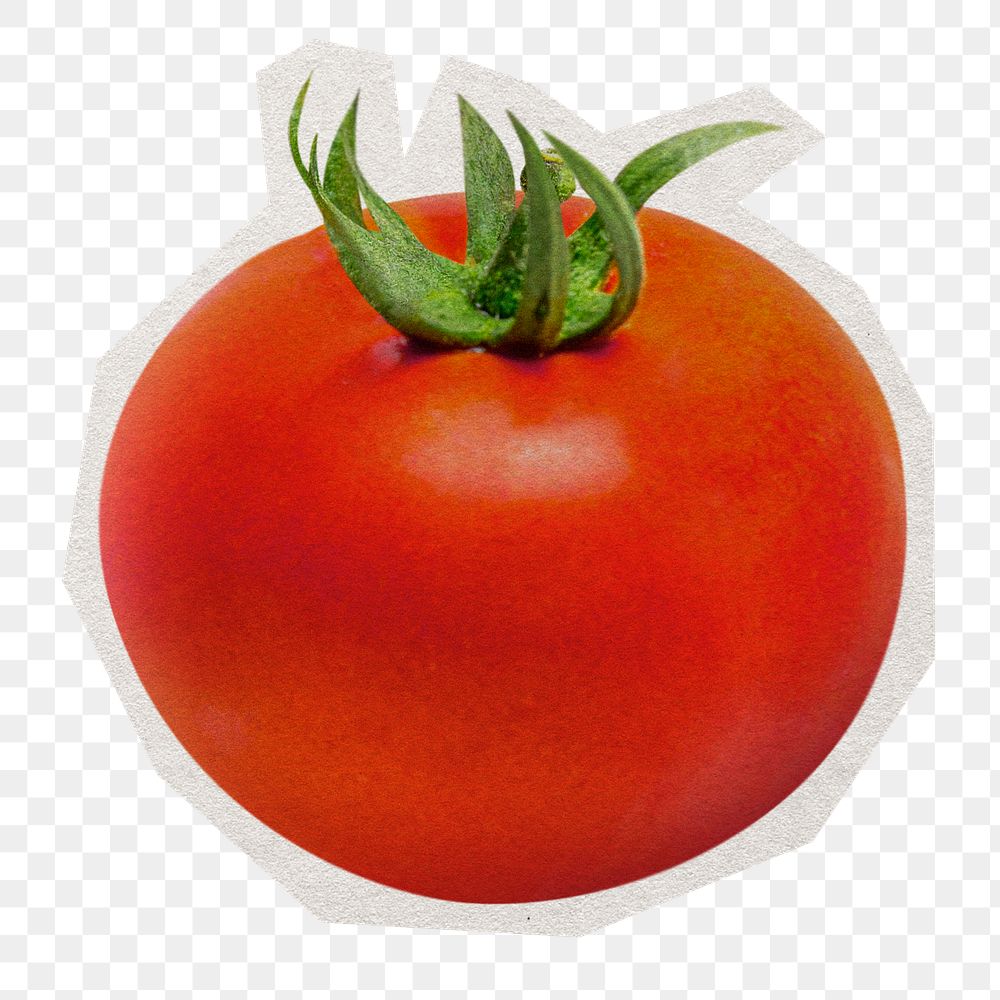 Red tomato png sticker, paper cut on transparent background