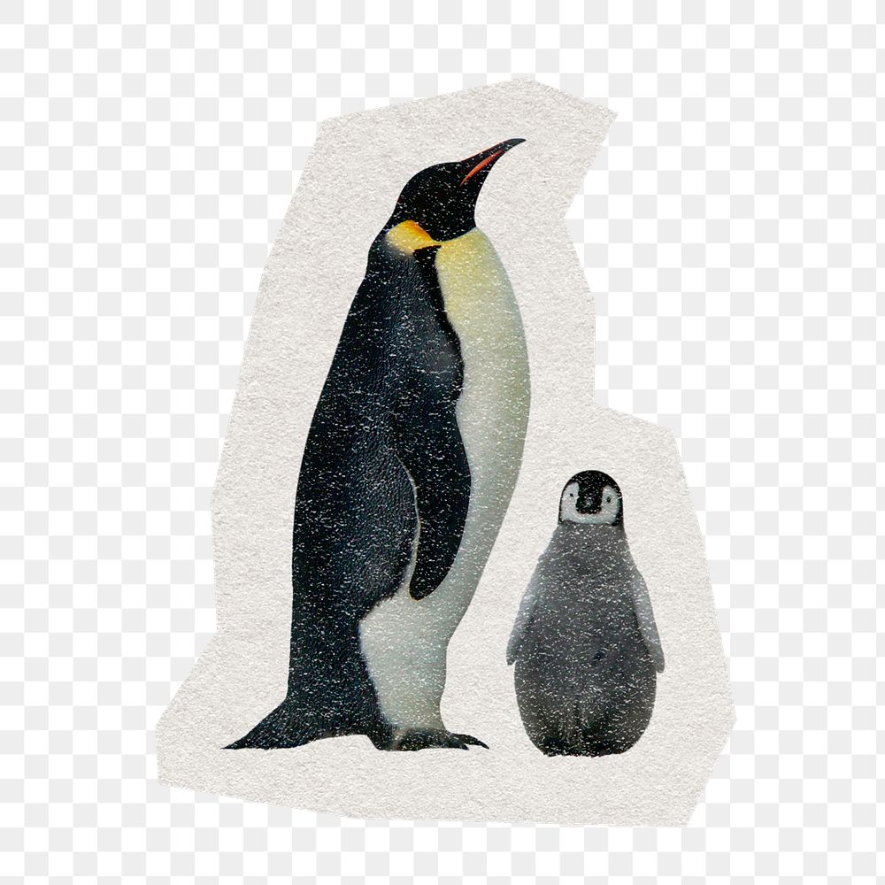 Emperor penguins  png sticker, paper cut on transparent background