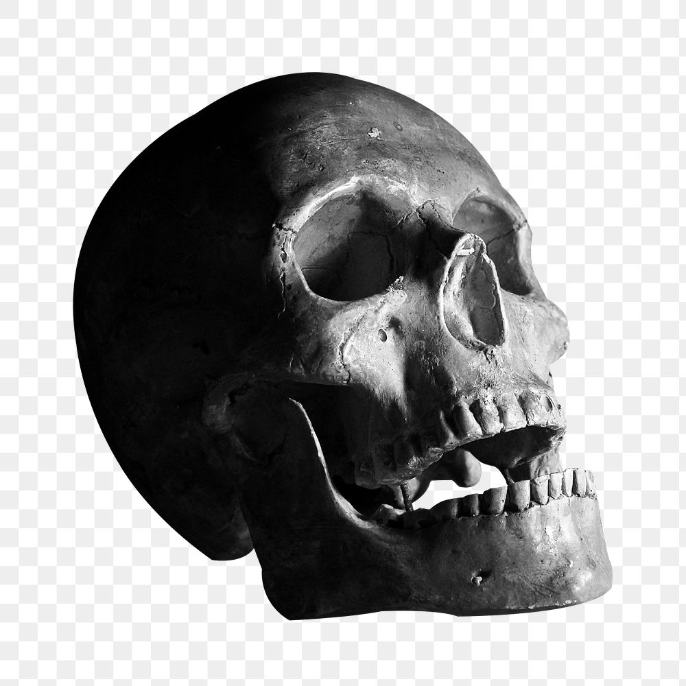 Human skull png Halloween sticker, transparent background