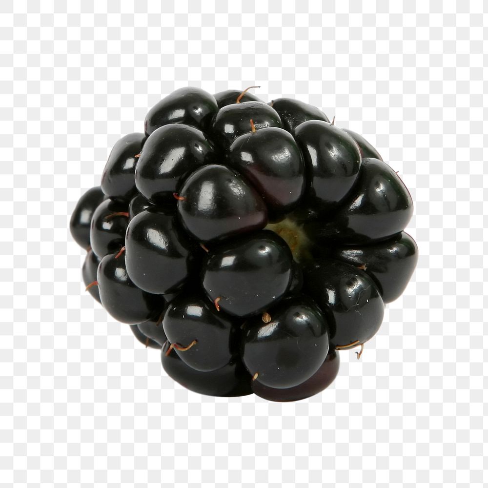 Blackberry fruit png sticker, transparent background