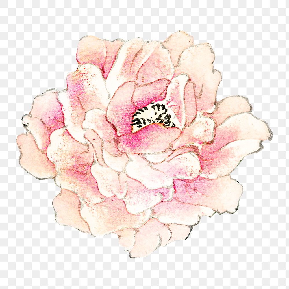 Vintage pink rose png illustration sticker, transparent background. Remixed by rawpixel.