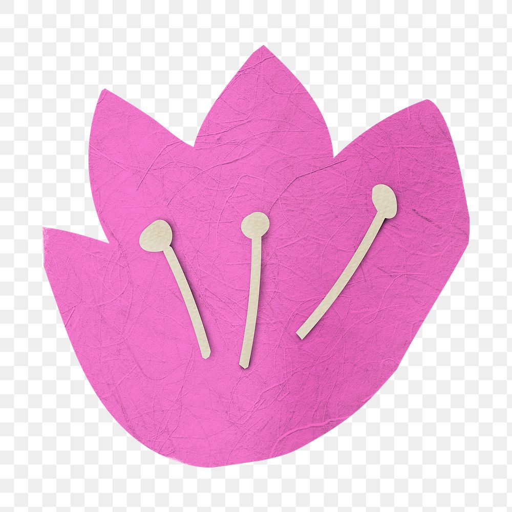 Pink tulip flower png sticker, transparent background