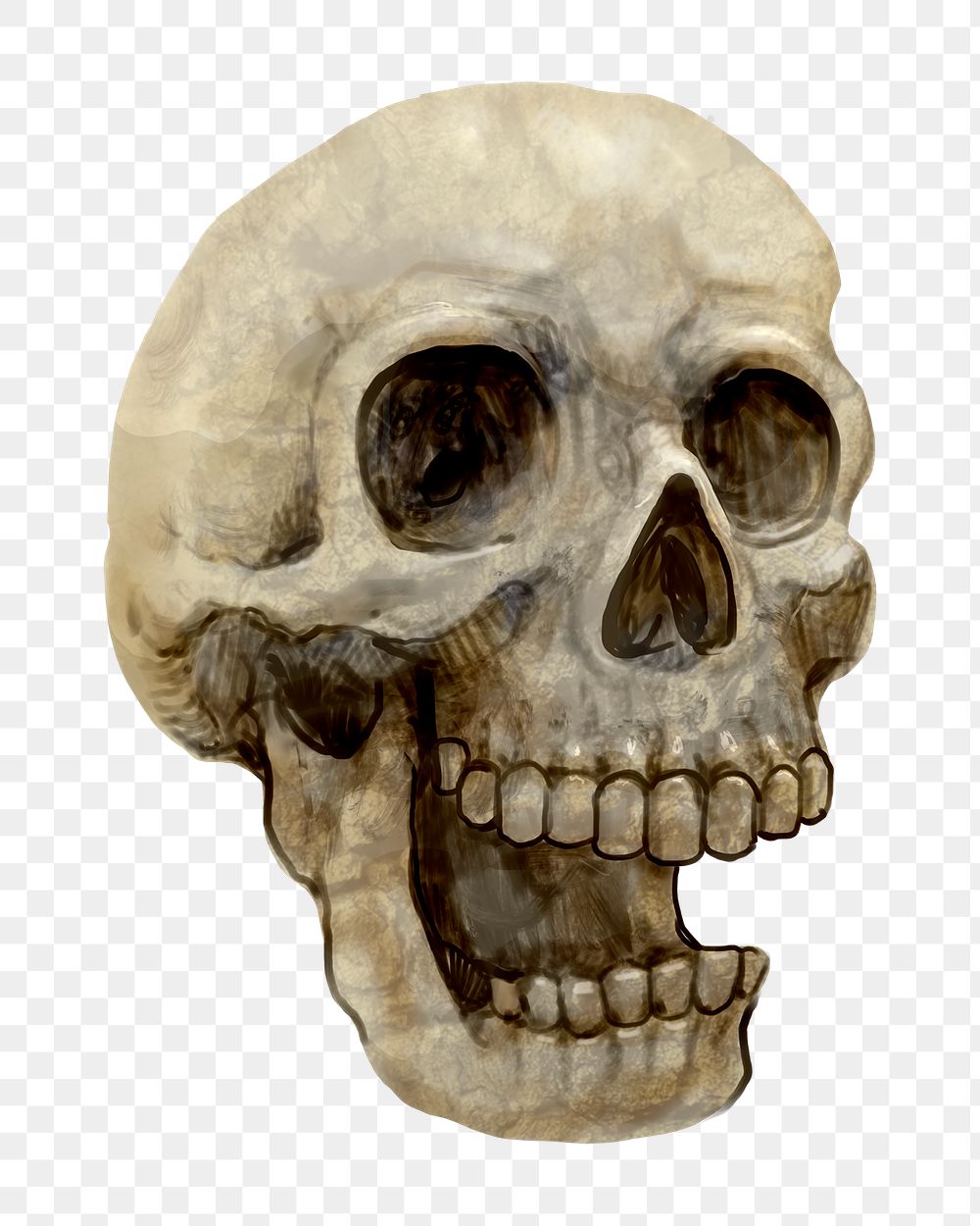Png brown human skull design element, transparent background