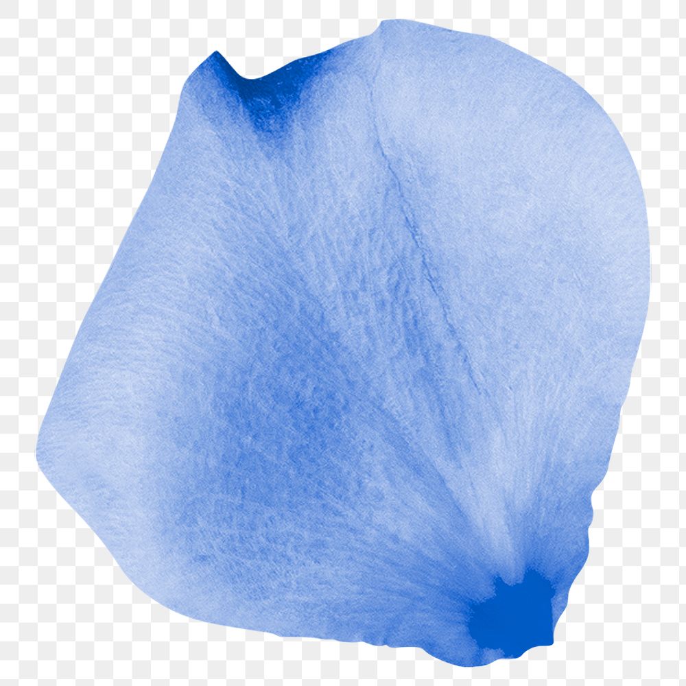 Blue flower petal png element, transparent background
