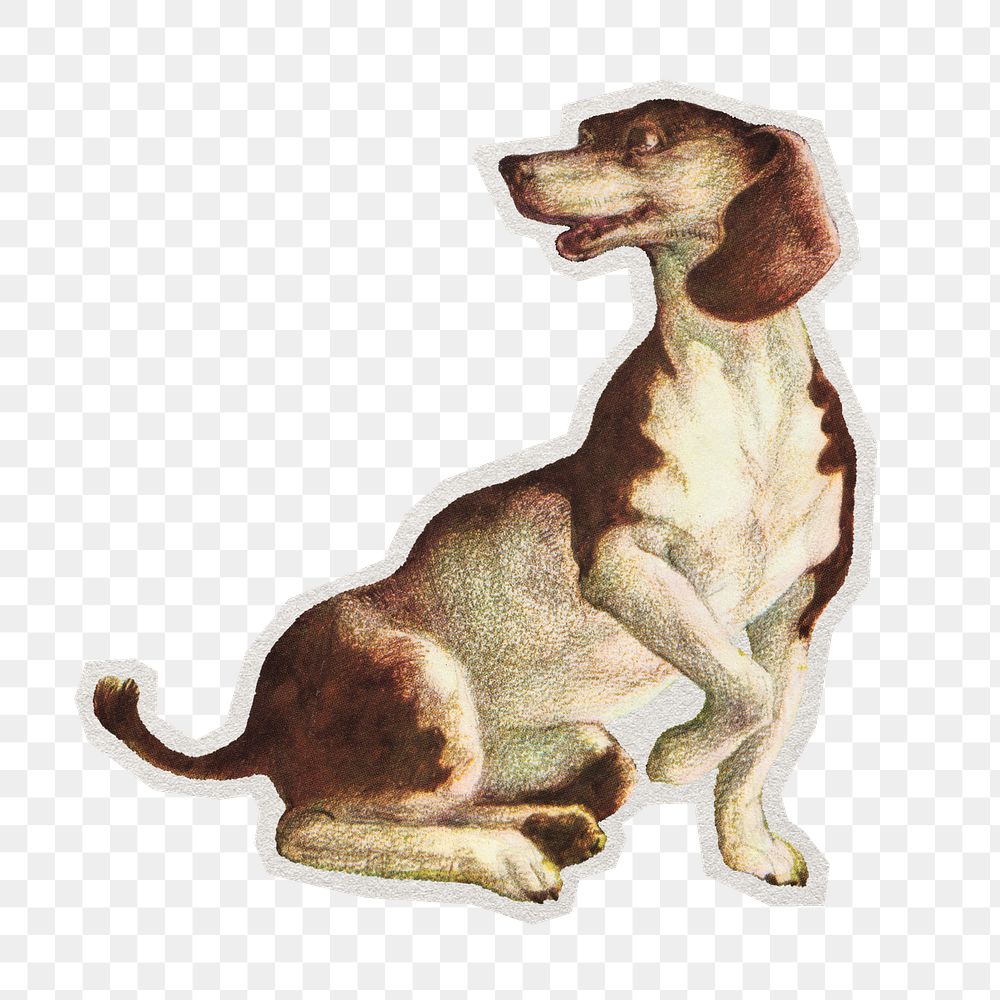 PNG vintage dog animal sticker with white border,  transparent background