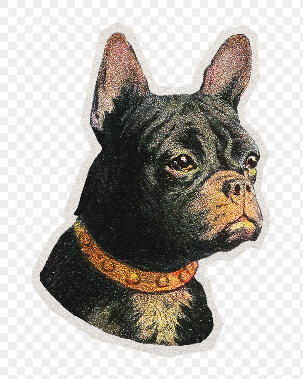 PNG French bulldog dog vintage animal sticker with white border,  transparent background
