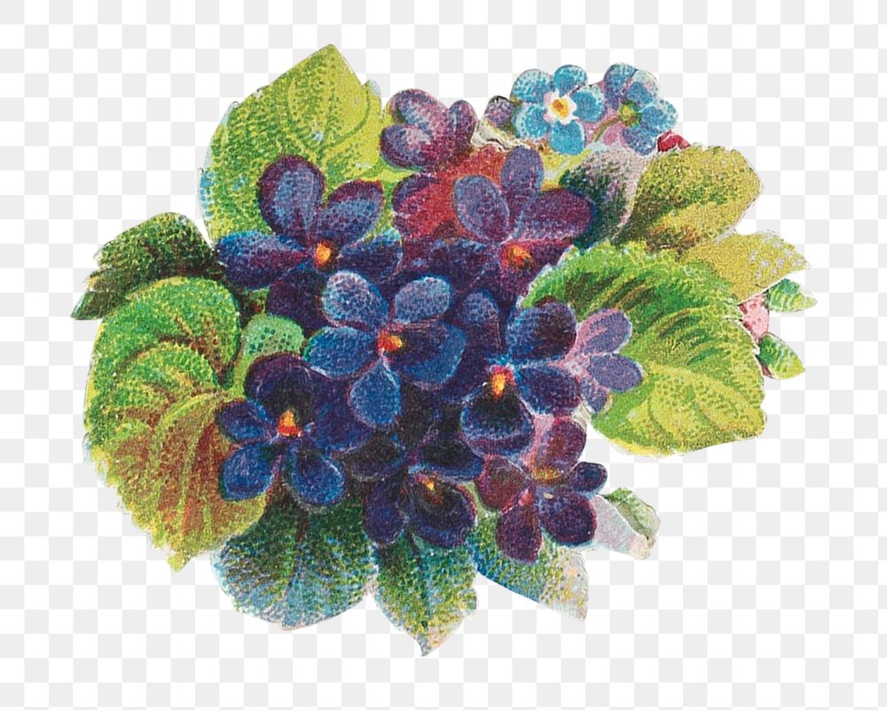 Dark purple flower png, vintage botanical illustration, transparent background. Remixed by rawpixel.