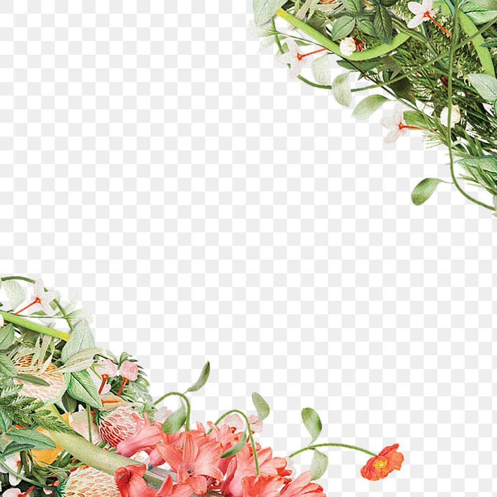 Flower border png element, transparent background