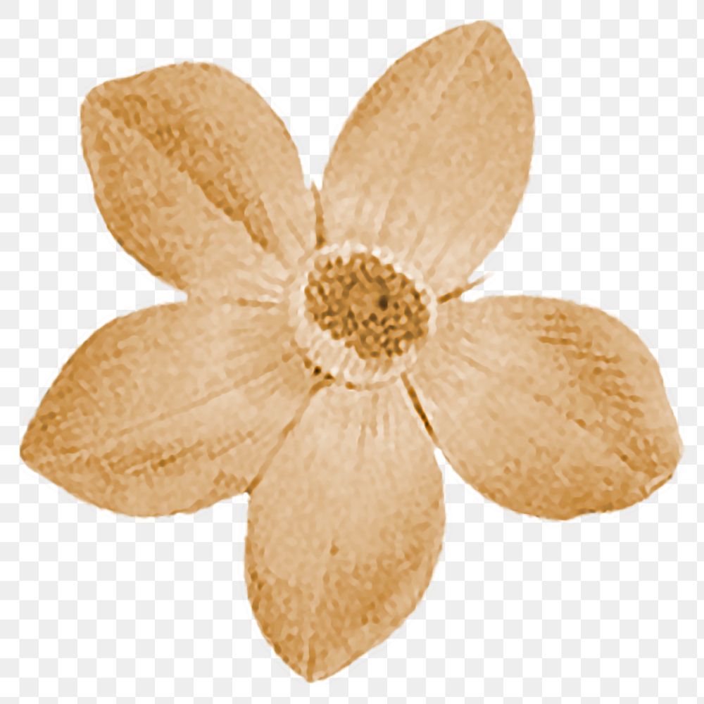 Yellow flower png vintage illustration, transparent background