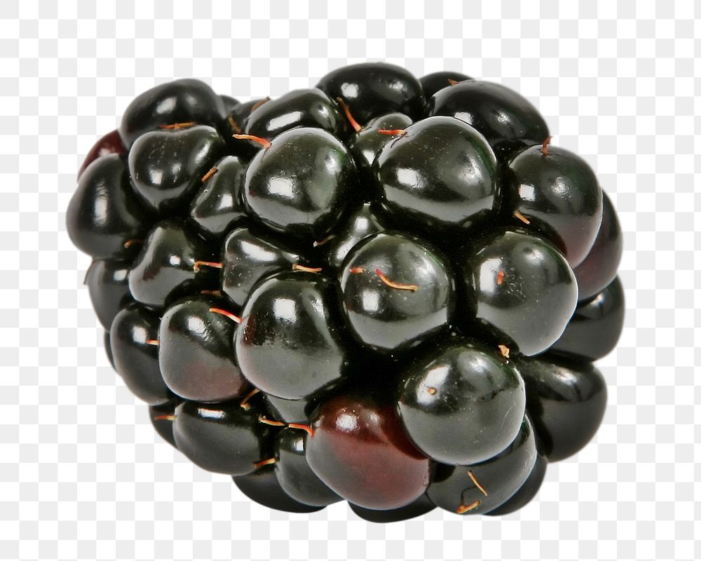 Organic blackberry fruit png, transparent background
