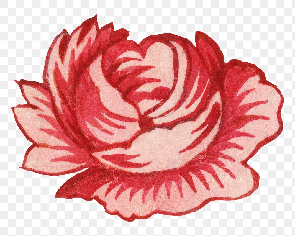 PNG Red rose flower transparent background. Remixed by rawpixel.