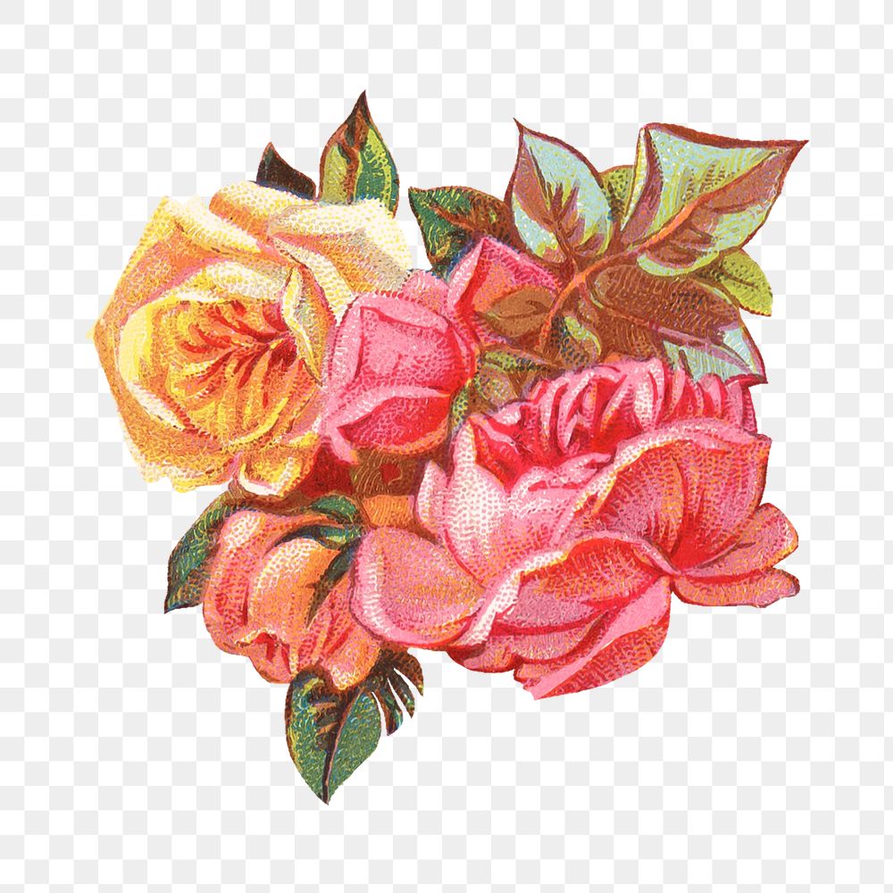 Vintage roses png, transparent background. Remixed by rawpixel. 