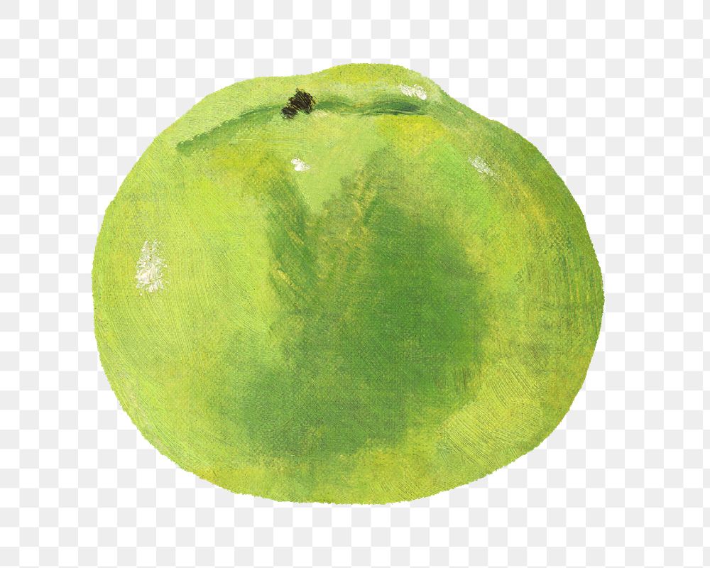 Green apple png fruit, transparent background. Remixed by rawpixel. 