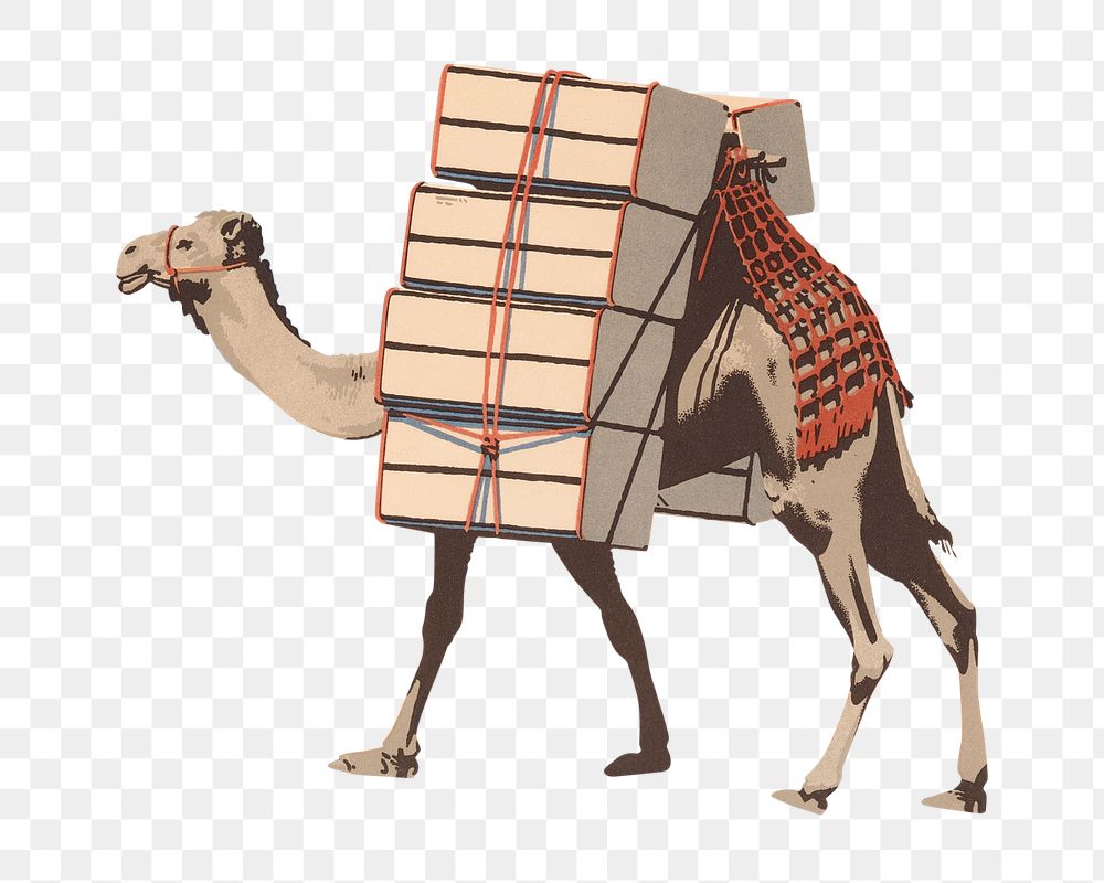 Vintage camel transport png, transparent background. Remixed by rawpixel. 