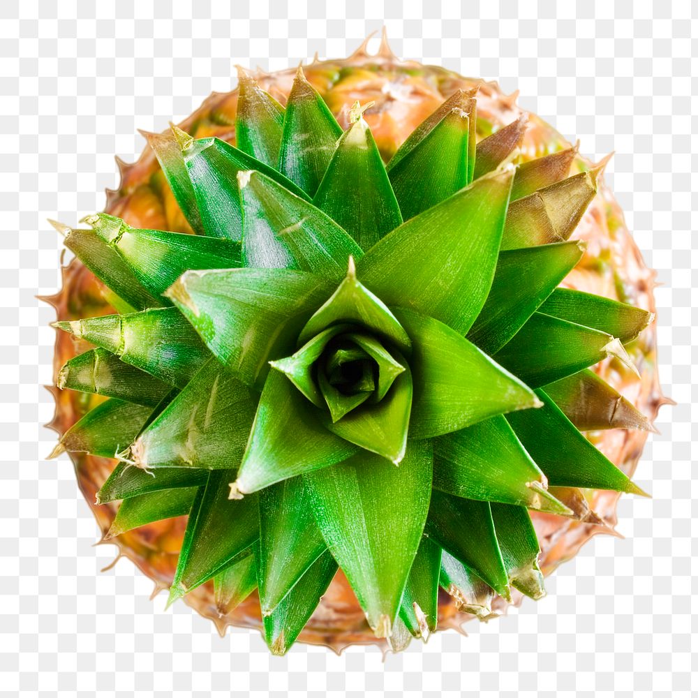 Png pineapple, transparent background