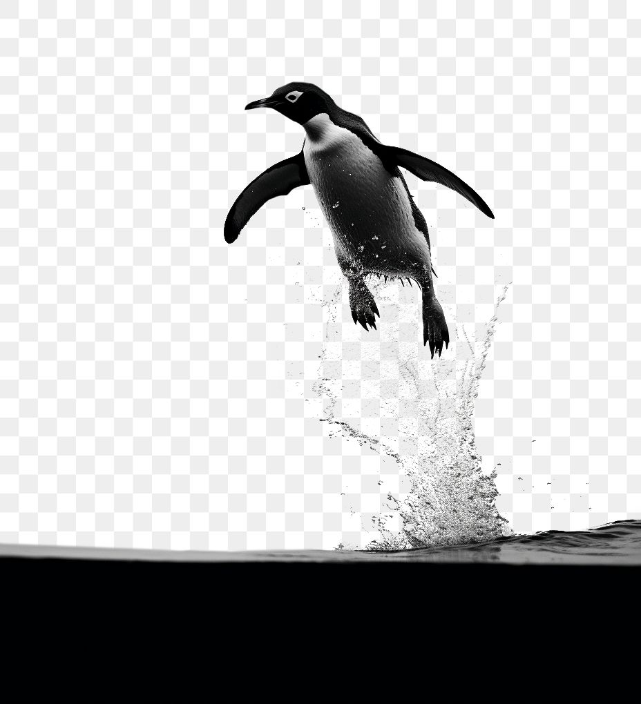 PNG A penguin jumping into the river animal motion black. AI generated Image by rawpixel.