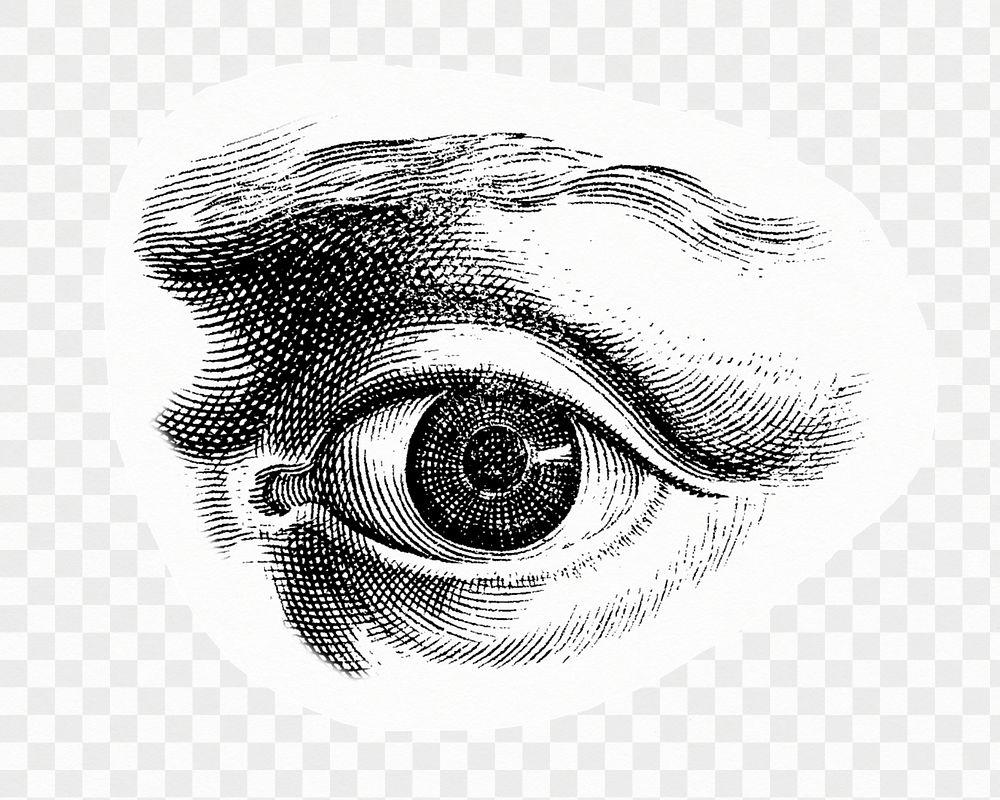 Png human eye monochrome sticker, drawing illustration, transparent background