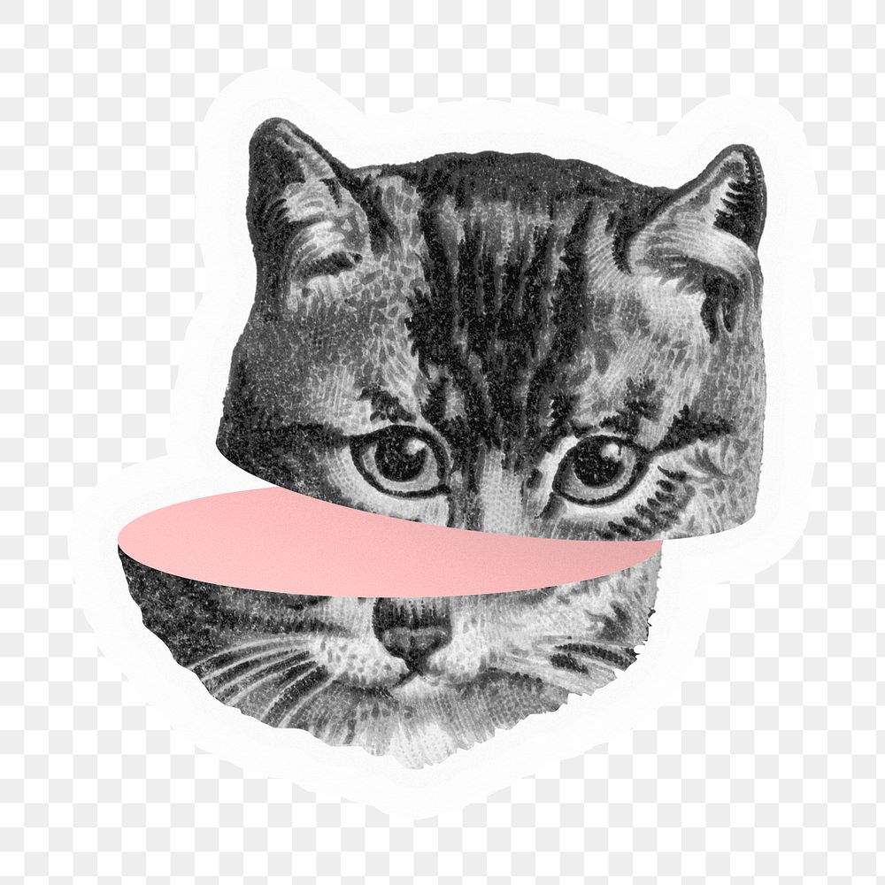 Png surreal cat head sticker, pink design, transparent background