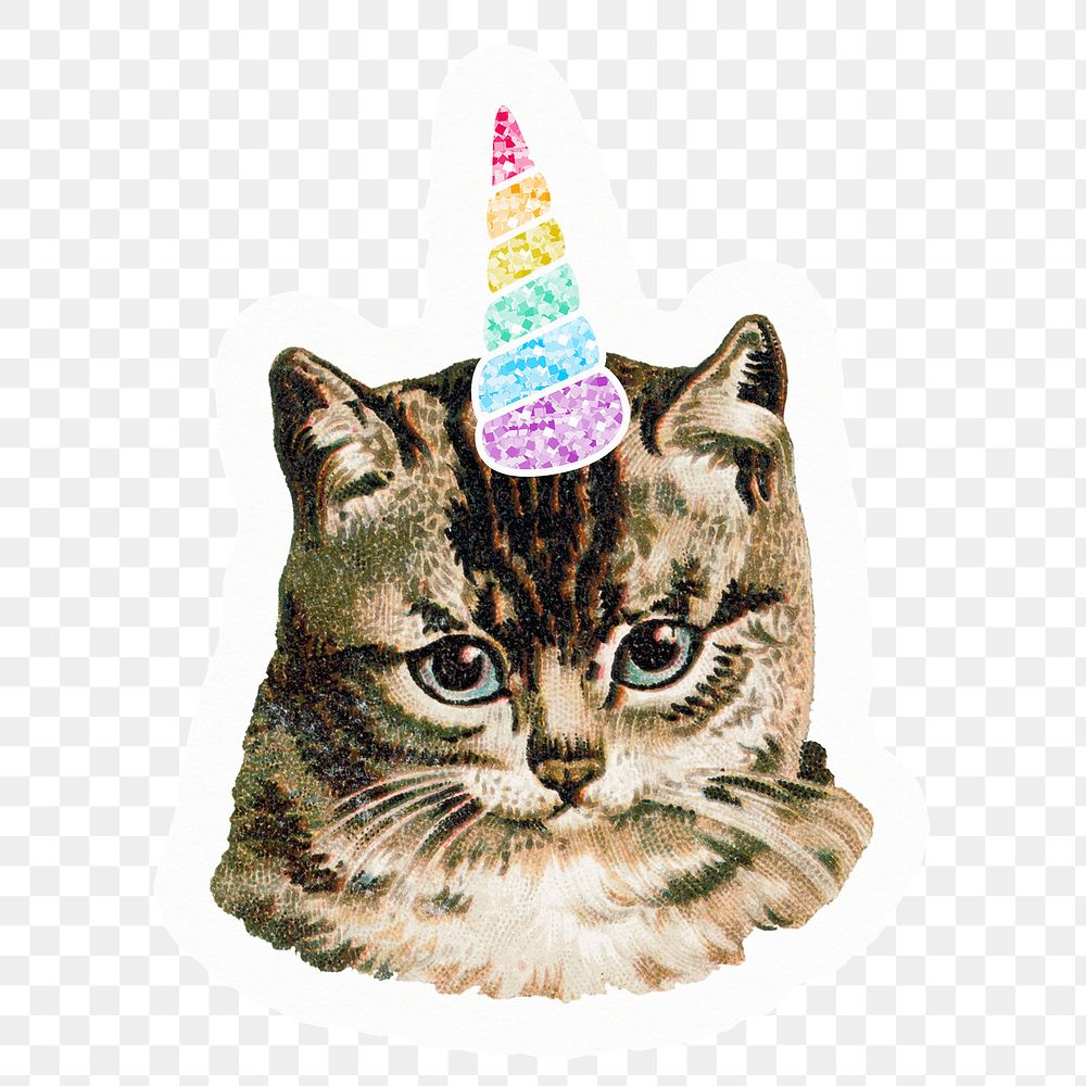 Png cat with rainbow horn sticker, aesthetic design, transparent background