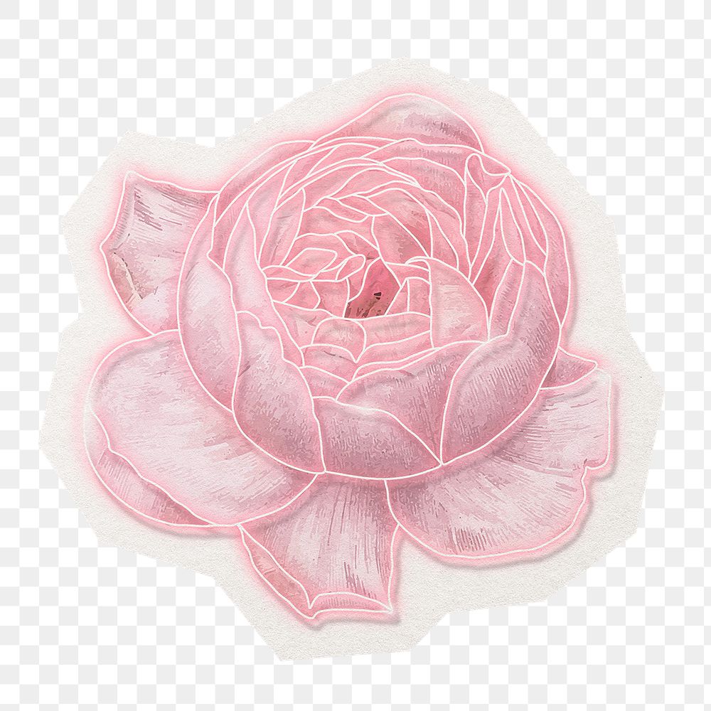 Neon rose png sticker, aesthetic decoration in transparent background