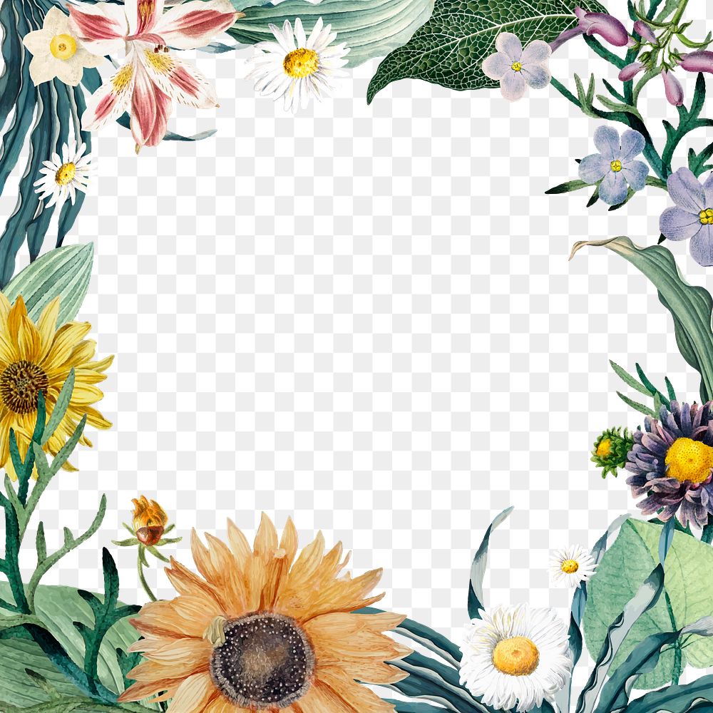 Elegant floral png frame colorful