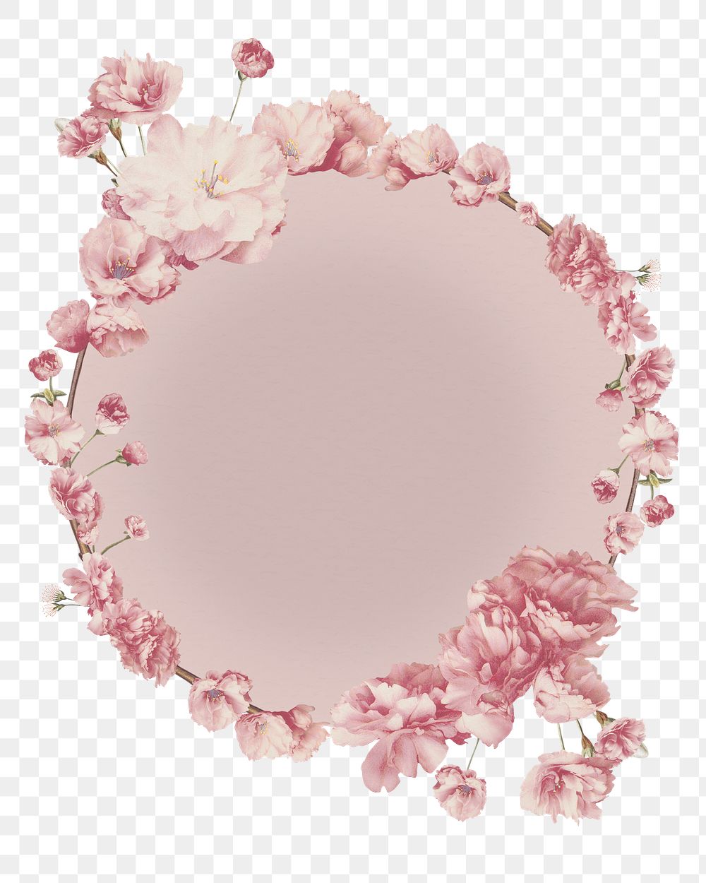 Round pink cherry blossom flower bouquet border frame on transparent background