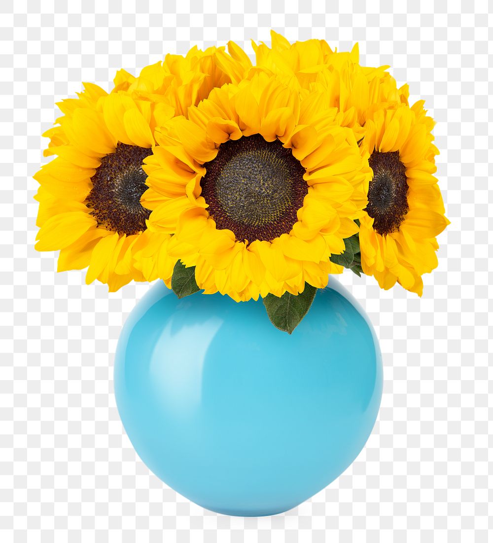Sunflower png, blue vase, isolated object, collage element design