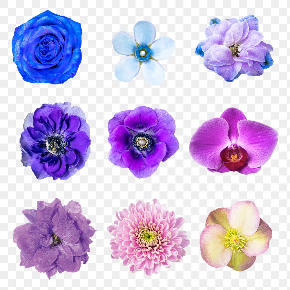 PNG blue and purple flower sticker, collage element set