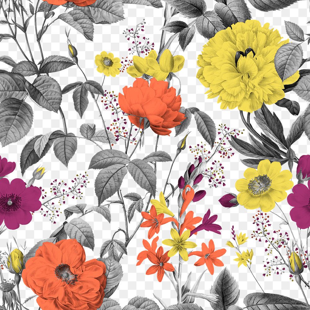 Retro floral png seamless pattern, transparent background, remix from the artworks of Pierre Joseph Redout&eacute;