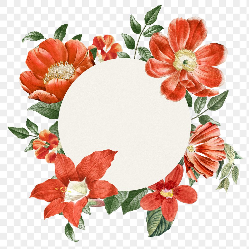 Aesthetic flower png frame, transparent background, remix from the artworks of Pierre Joseph Redout&eacute;