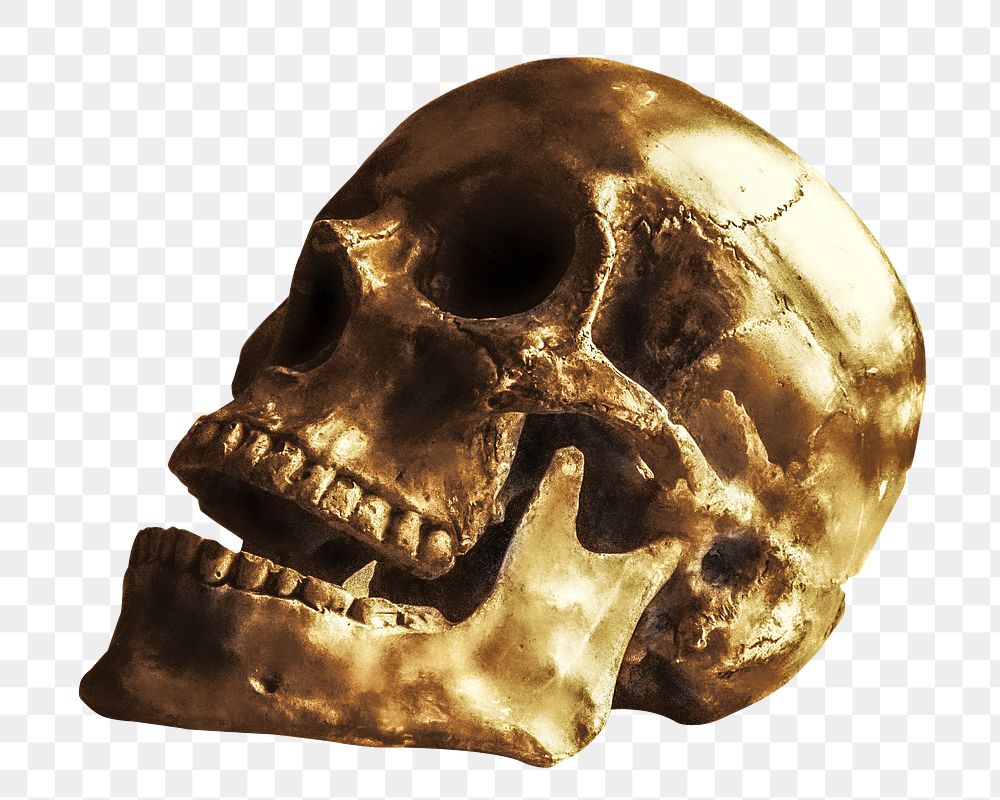 Gold skull png sticker, transparent background
