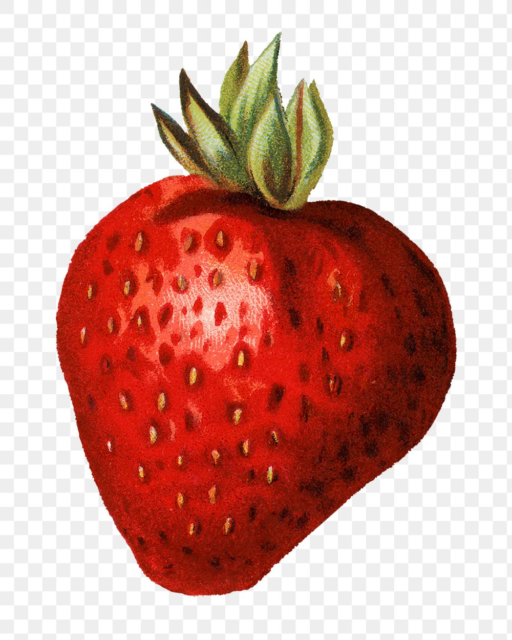 Strawberry fruit illustration png sticker, transparent background