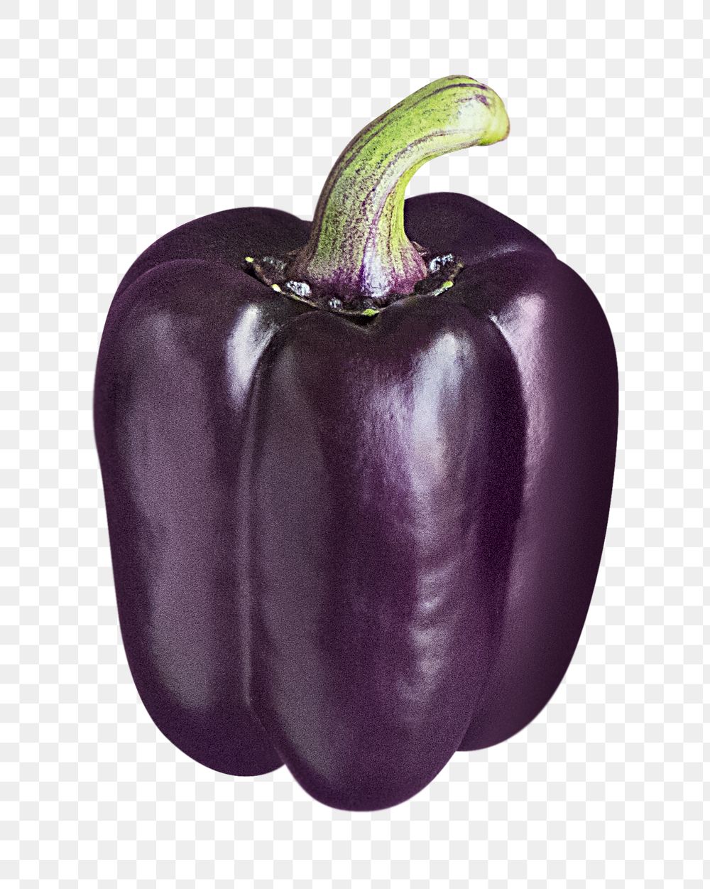 Purple bell pepper png sticker, transparent background