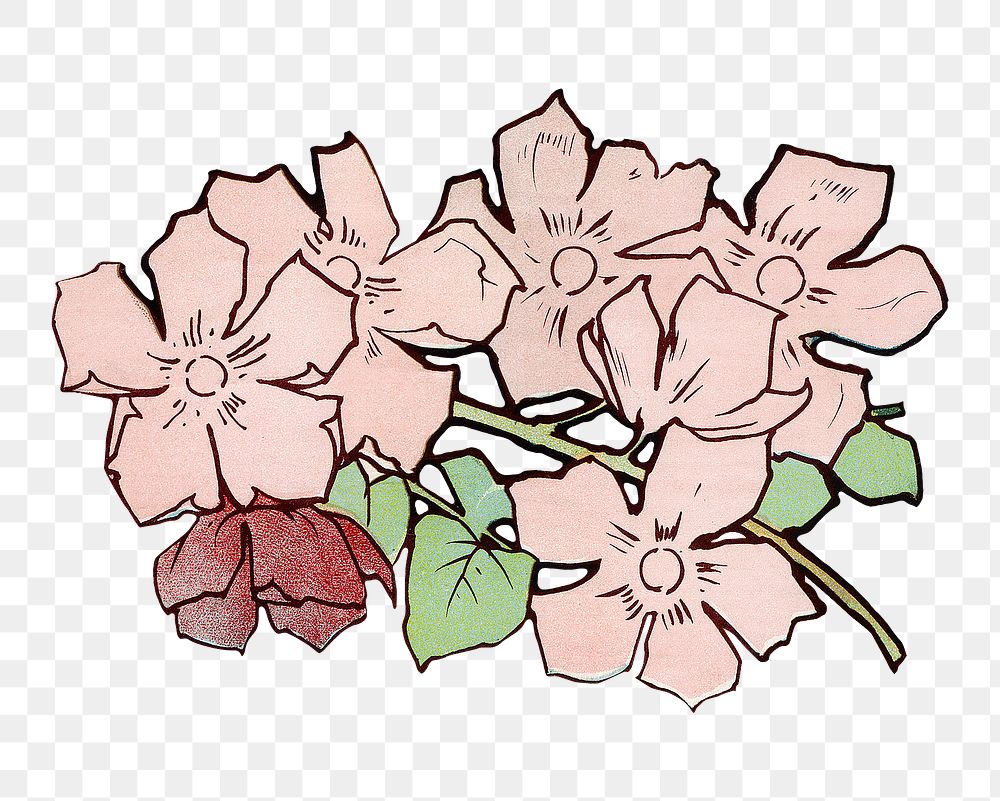 Pink flowers png, vintage botanical illustration, transparent background. Remastered by rawpixel
