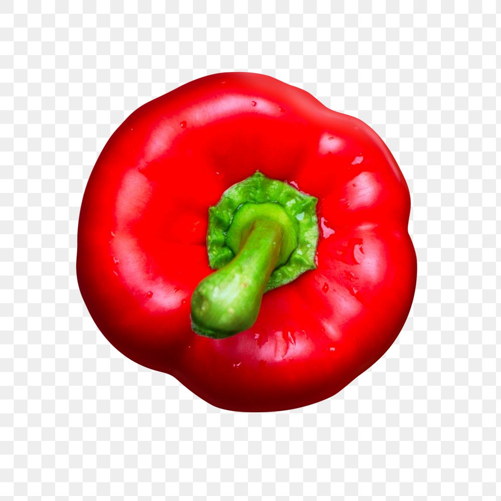 Bell pepper png sticker, transparent background 