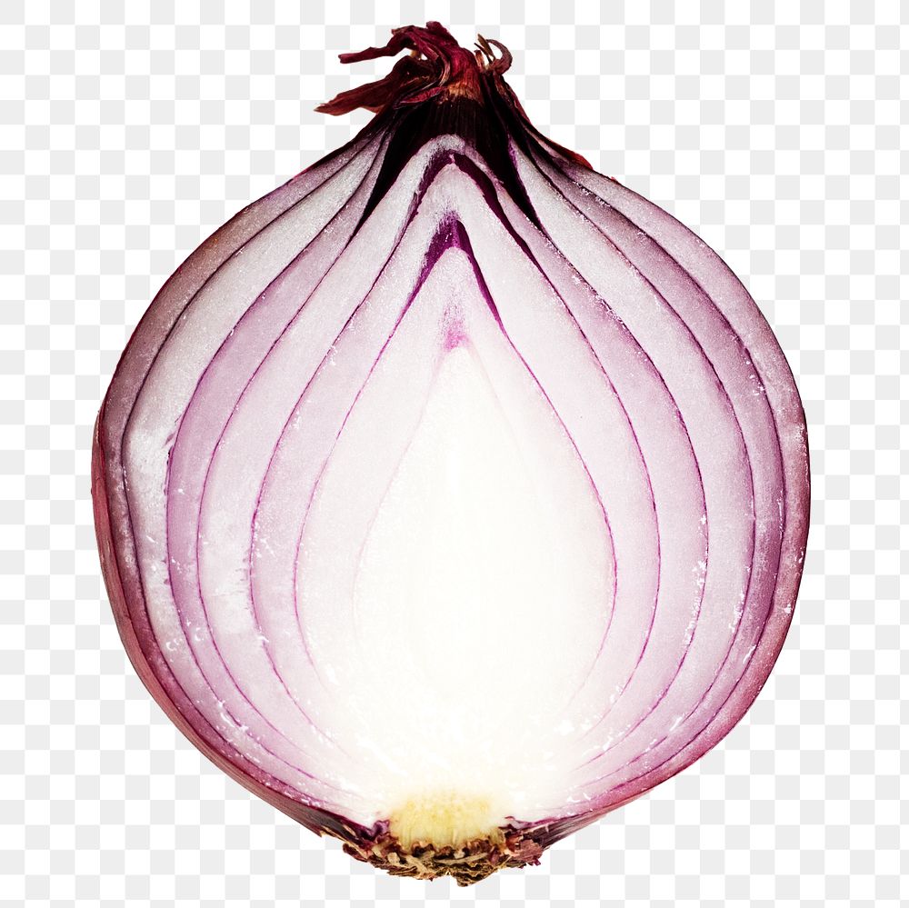 Red onion vegetable png sticker, transparent background