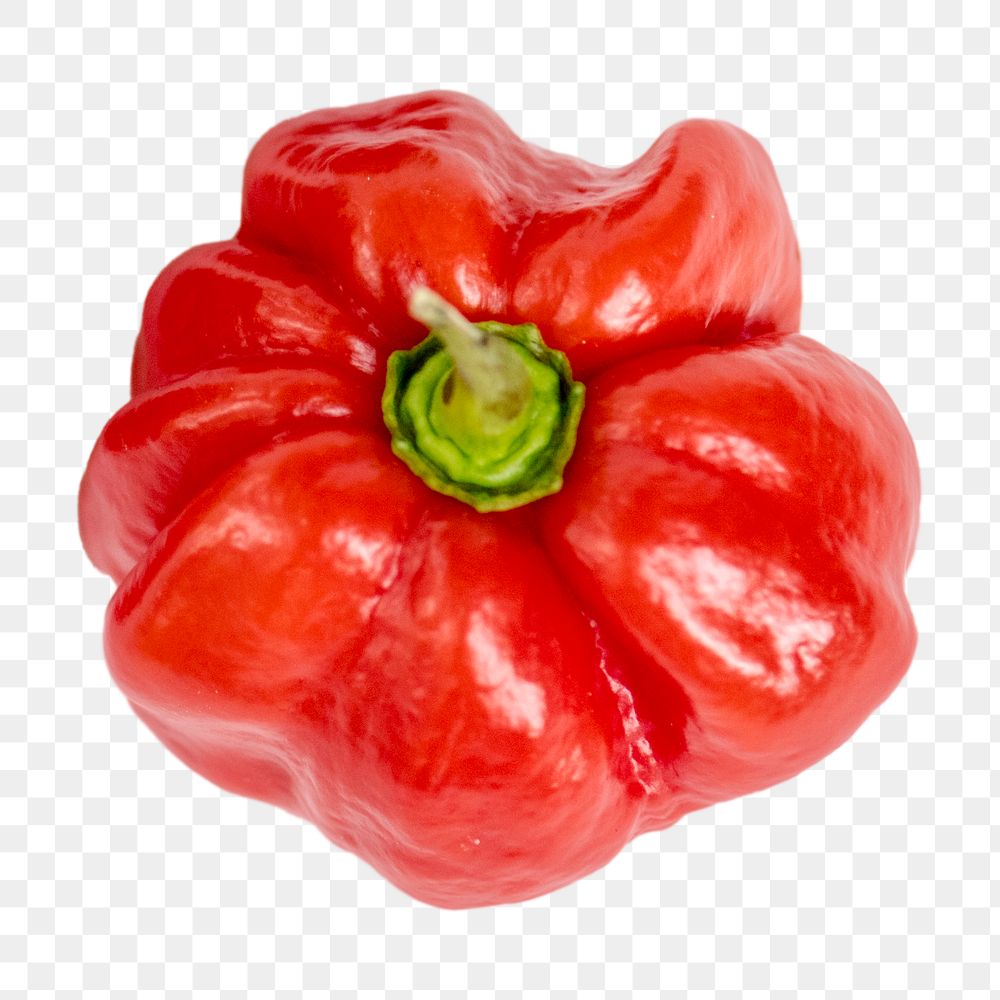 Red bell pepper png sticker, transparent background