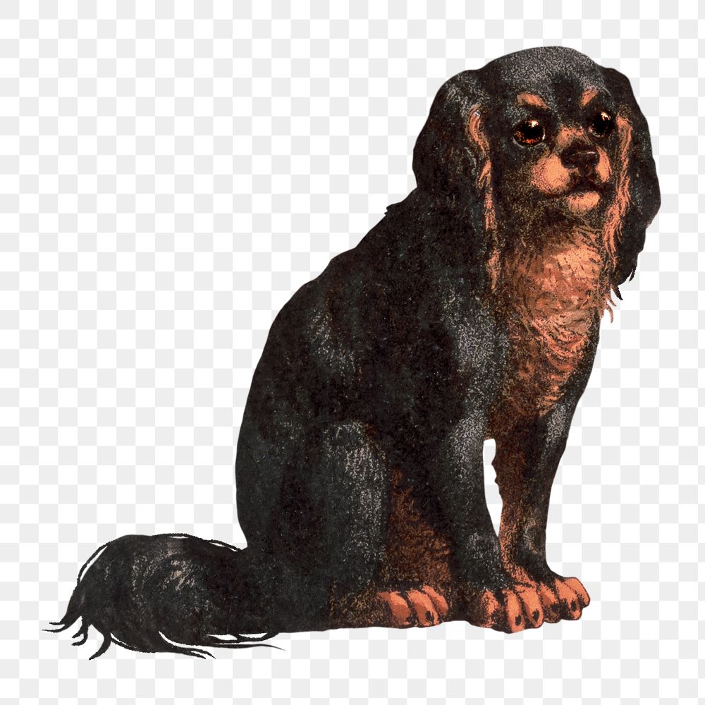 Carnivora dog png sticker, or flesh-eating animals on transparent background.  Remastered by rawpixel
